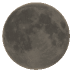 moonie
